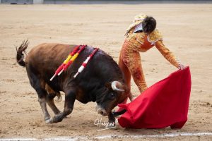 Vuelta al ruedo para Cid de María en su presentación en Madrid
