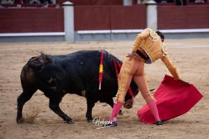 Vuelta al ruedo para Cid de María en su presentación en Madrid