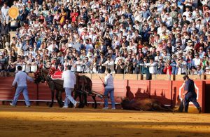 Faena para el recuerdo de Miguel Ángel Perera en Sevilla