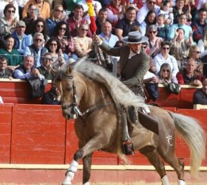 Andy Cartagena, el domingo en Osuna
