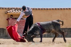 Diego García, gran tentadero en Victorino Martín