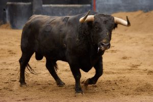 Los ejemplares de Domingo Hernández para hoy en Sevilla