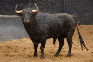 Los ejemplares de Domingo Hernández para hoy en Sevilla