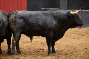 Los ejemplares de Domingo Hernández para hoy en Sevilla