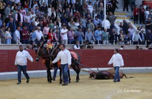 David Gutiérrez se alza con el Alfarero de Plata