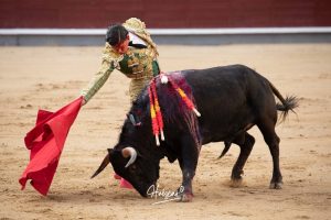 Juan Pablo Ibarra se lleva el 'Camino hacia Las Ventas'