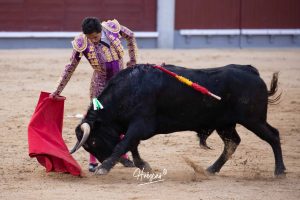 Juan Pablo Ibarra se lleva el 'Camino hacia Las Ventas'