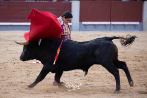 Juan Pablo Ibarra se lleva el 'Camino hacia Las Ventas'