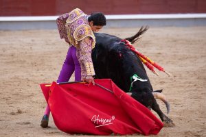 Juan Pablo Ibarra se lleva el 'Camino hacia Las Ventas'