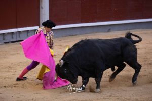 Juan Pablo Ibarra se lleva el 'Camino hacia Las Ventas'