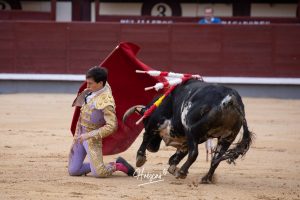 Juan Pablo Ibarra se lleva el 'Camino hacia Las Ventas'