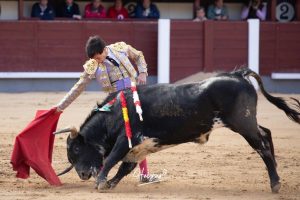 Juan Pablo Ibarra se lleva el 'Camino hacia Las Ventas'