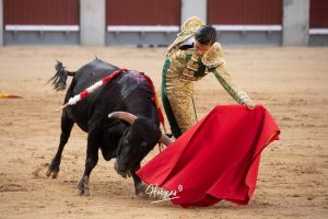 Juan Pablo Ibarra se lleva el 'Camino hacia Las Ventas'
