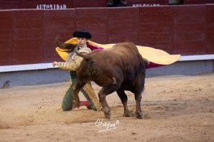 Juan Pablo Ibarra se lleva el 'Camino hacia Las Ventas'