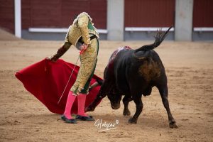 Juan Pablo Ibarra se lleva el 'Camino hacia Las Ventas'