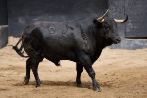 Orden de lidia de los toros de Garcigrande para Sevilla