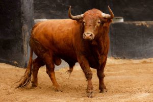 Orden de lidia de los toros de Garcigrande para Sevilla