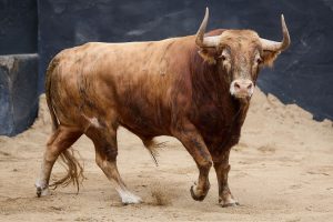 Orden de lidia de los toros de Garcigrande para Sevilla