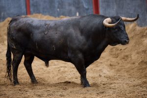 Orden de lidia de los toros de Garcigrande para Sevilla