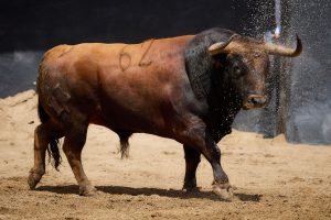 Los toros de Jandilla-Vegahermosa para hoy en Sevilla