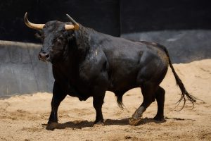 Los toros de Jandilla-Vegahermosa para hoy en Sevilla