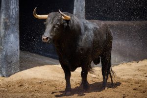 Los toros de Jandilla-Vegahermosa para hoy en Sevilla