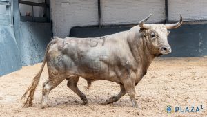 Orden de lidia para la novillada de esta tarde en Las Ventas