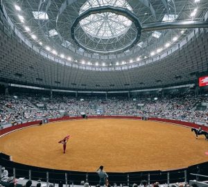 Burgos entregará el Premio Provincial de Tauromaquia