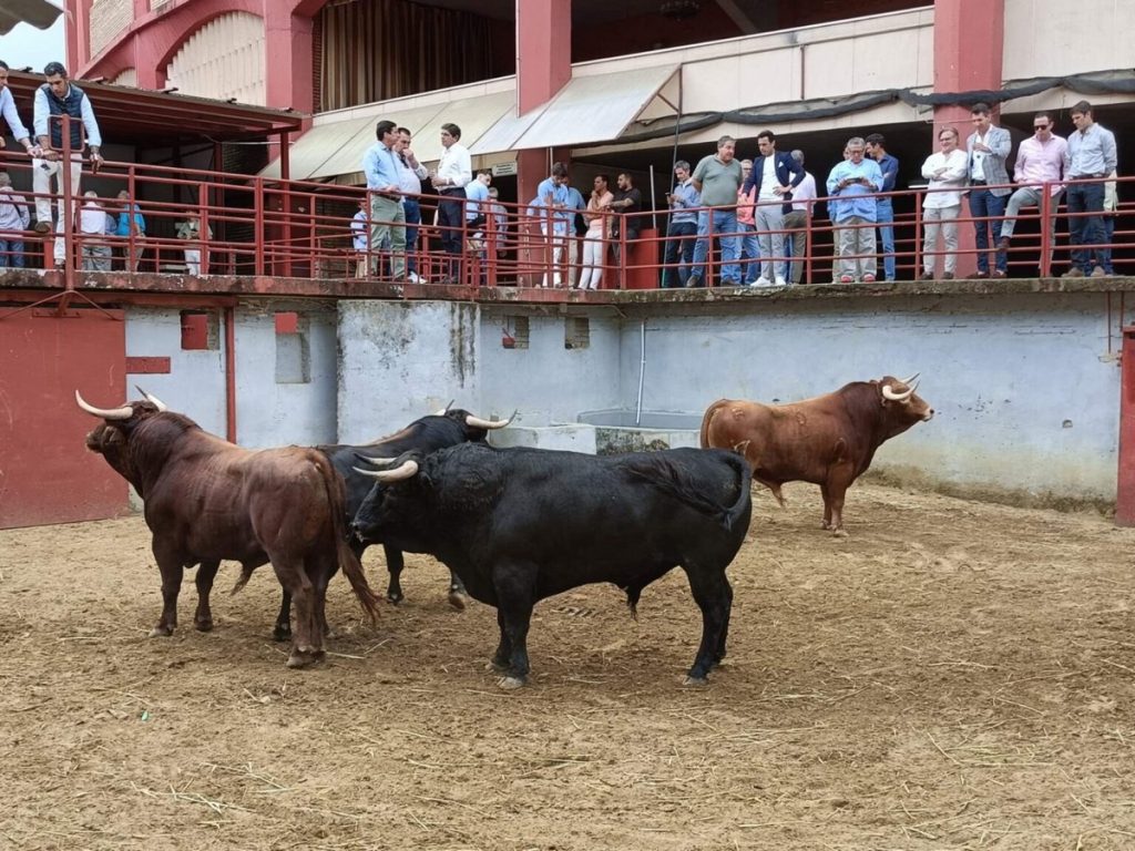 Orden de lidia para la primera de la Feria de Córdoba