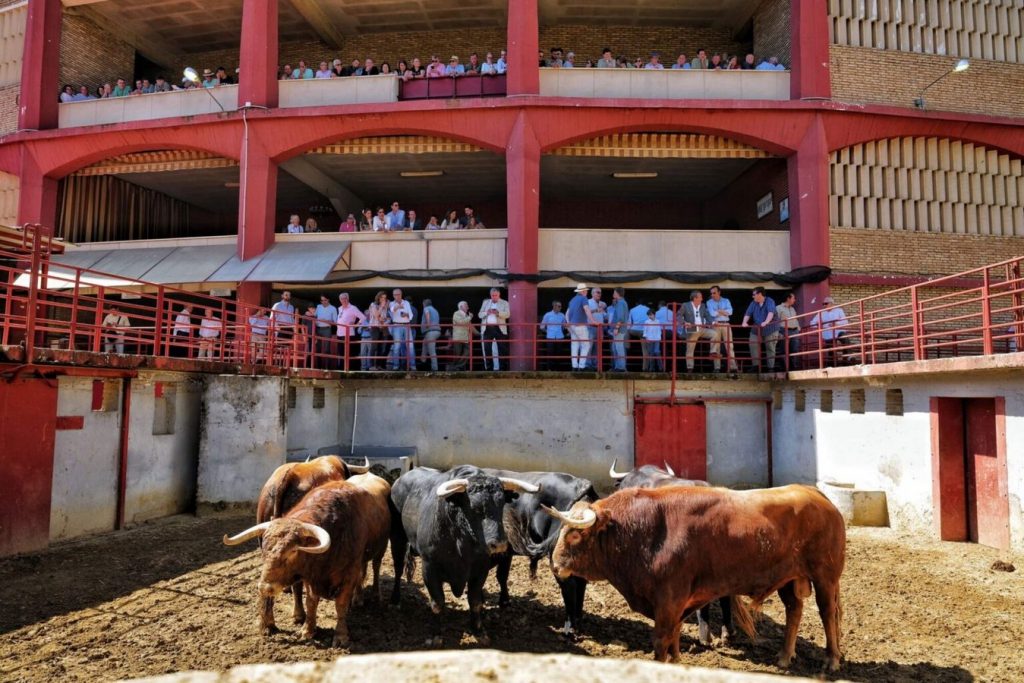 Orden de lidia para la alternativa de Manuel Román en Córdoba