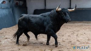 Orden de lidia para la Goyesca del 2 de mayo en Madrid