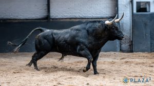 Orden de lidia para la Goyesca del 2 de mayo en Madrid