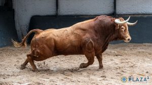 Orden de lidia para la Goyesca del 2 de mayo en Madrid