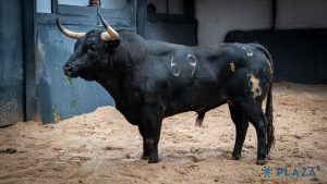 Orden de lidia para la Goyesca del 2 de mayo en Madrid