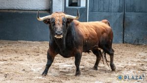 Orden de lidia para la Goyesca del 2 de mayo en Madrid