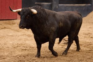 Orden de lidia para la 10ª de abono en Sevilla