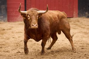 Orden de lidia para la 10ª de abono en Sevilla