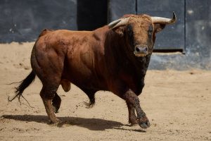 Orden de lidia para la 10ª de abono en Sevilla