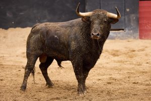 Orden de lidia para la 10ª de abono en Sevilla