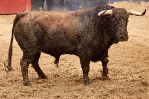 Orden de lidia para la 10ª de abono en Sevilla