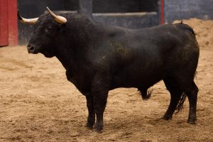 Orden de lidia para la 10ª de abono en Sevilla