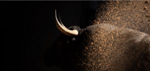 Los de Victoriano del Río para hoy en Las Ventas