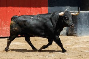Sorteo de los toros de Victoriano del Río para hoy en Sevilla
