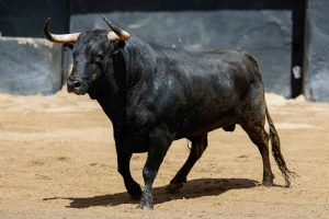 Sorteo de los toros de Victoriano del Río para hoy en Sevilla