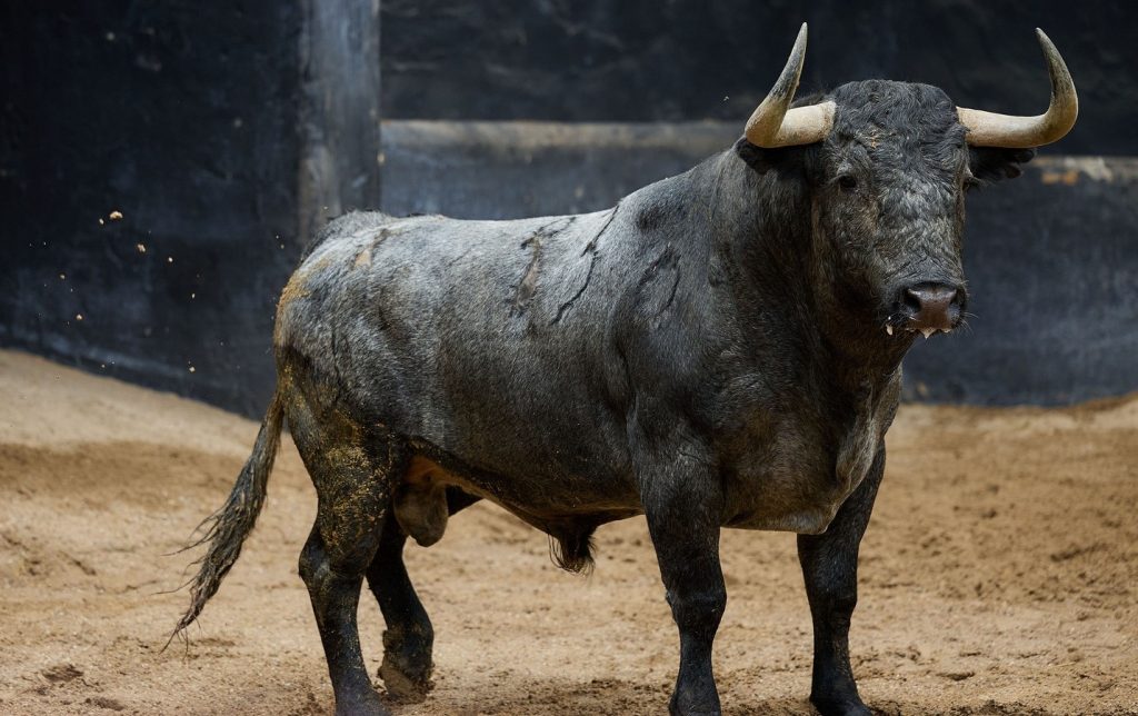 Los 'Victorinos' para esta tarde en la Maestranza