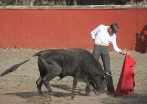 Mario Vilau y Rancho Seco, pasiones en el campo mexicano