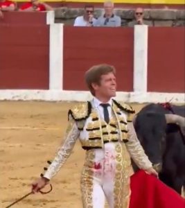 Resultado de las corridas de Plasencia y El Tiemblo