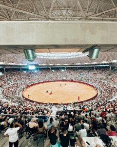 A oreja por coleta en la corrida de Burgos