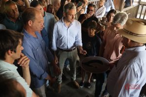Enchiquerados los toros de Núñez del Cuvillo para Aranjuez