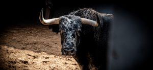 Los toros de Valdefresno para hoy en Madrid